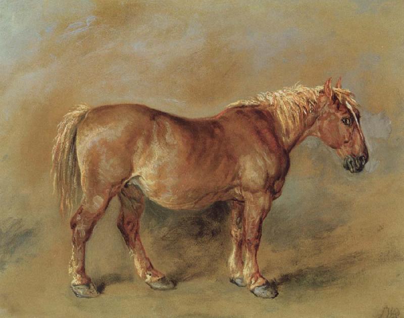 James Ward A Suffolk Punch France oil painting art